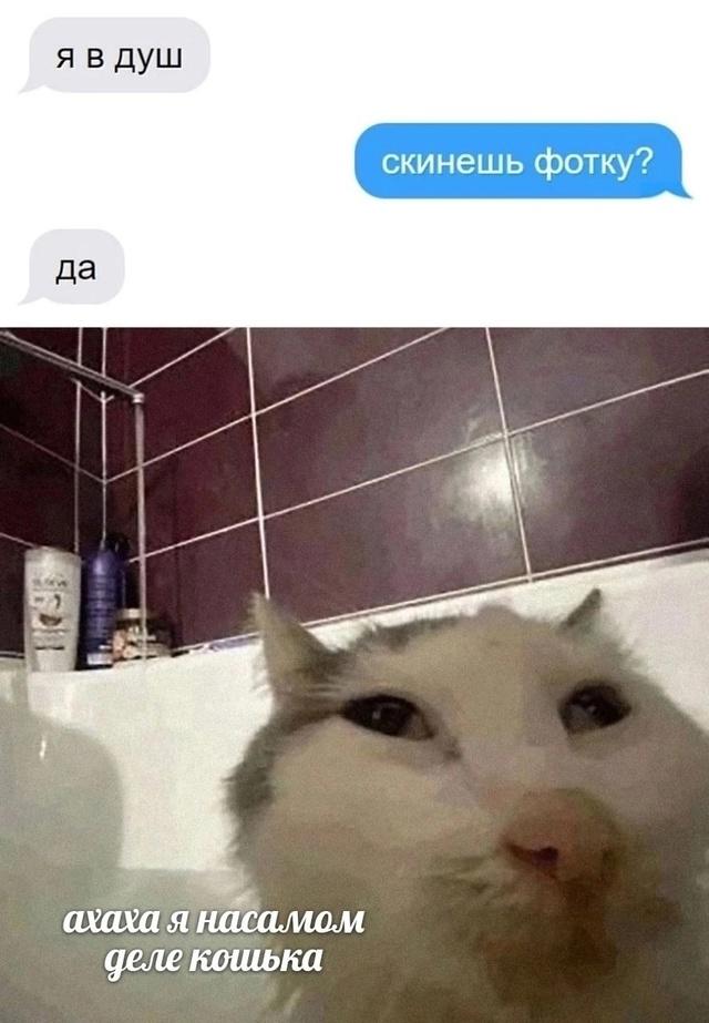 Без комментария
