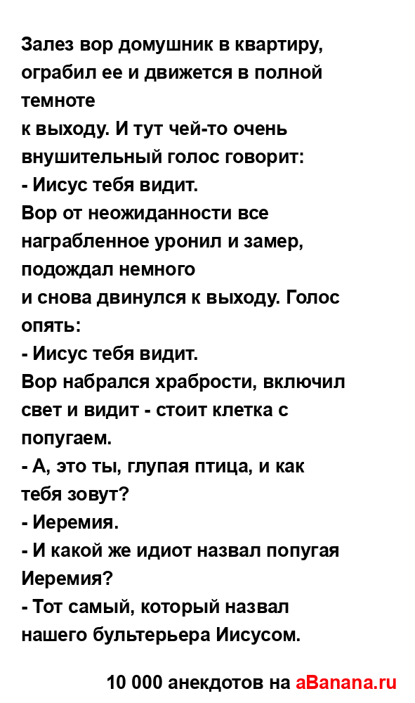 Залез вор домушник в квартиру, ограбил ее и движется в...