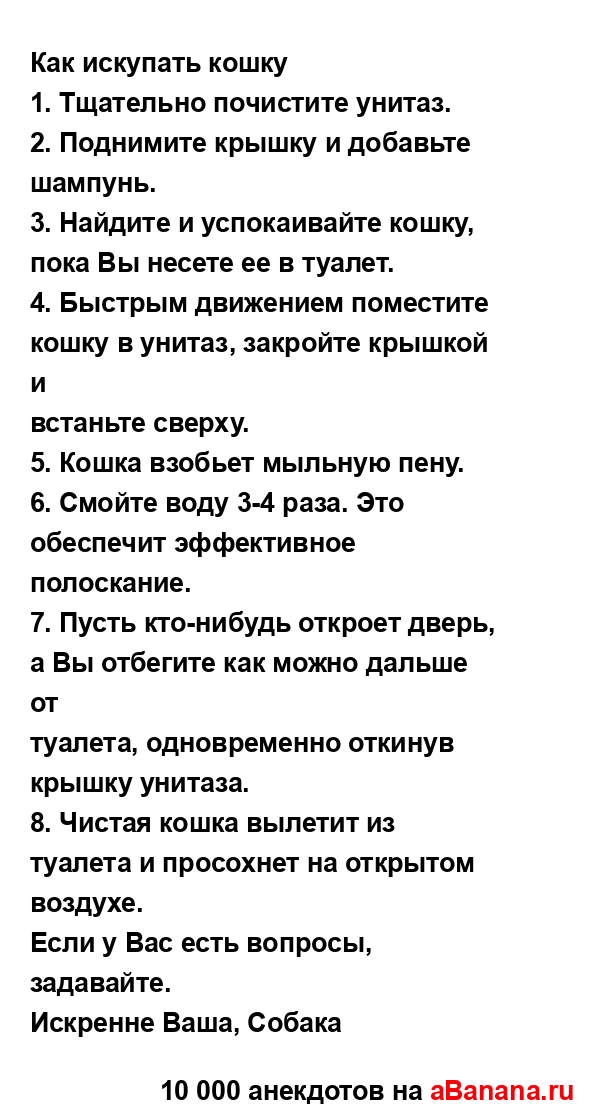 Как искупать кошку...