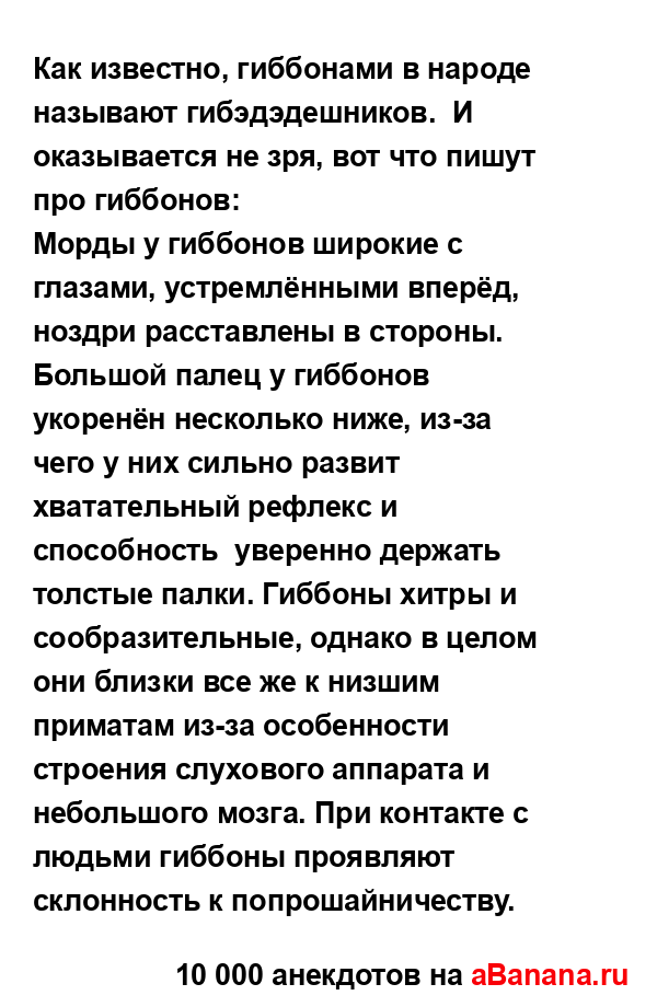 Как известно, гиббонами в народе называют...