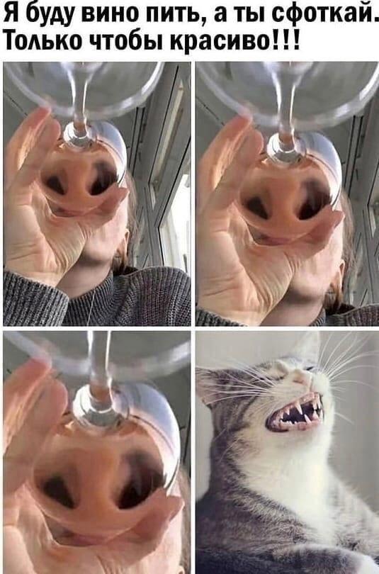 Открой новую дверь