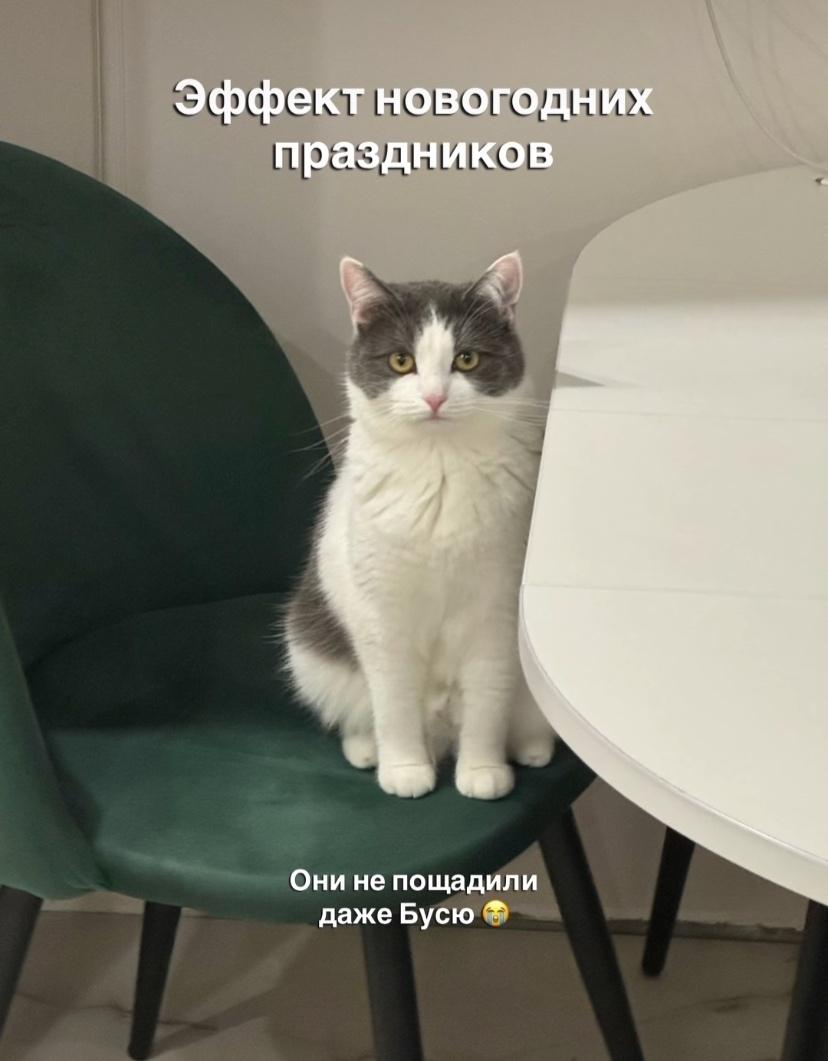 Каждый из нас немножко Буся