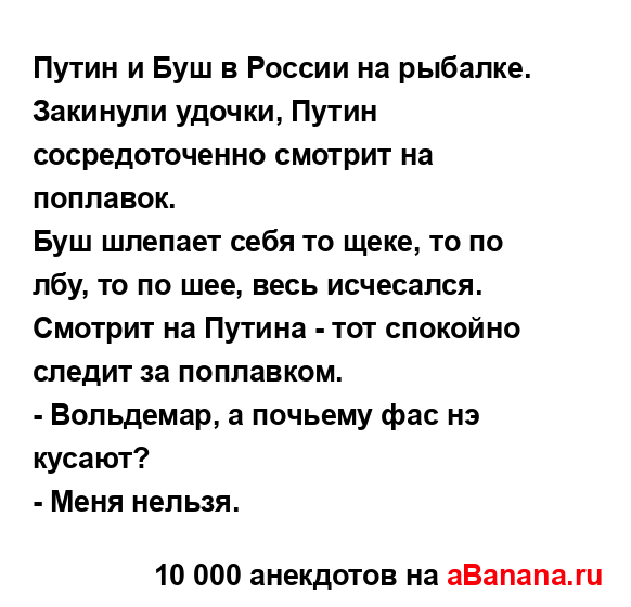 Путин и Буш в России на рыбалке.
...