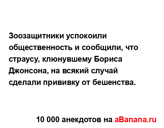 Зоозащитники успокоили общественность и сообщили, что...