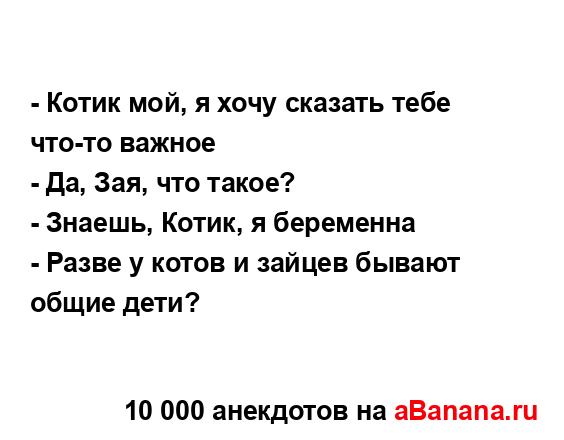 - Котик мой, я хочу сказать тебе что-то важное...