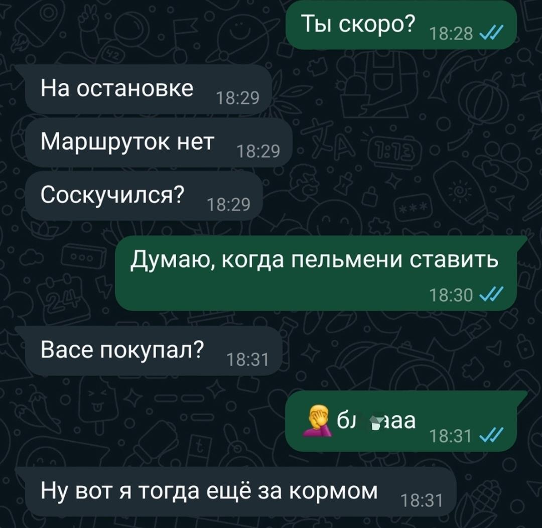 Жаль Васю