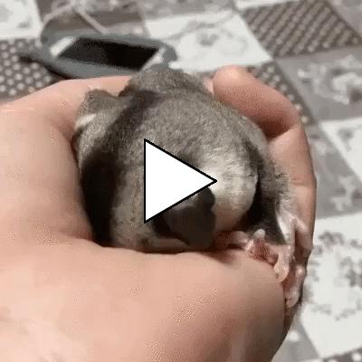 Без комментария