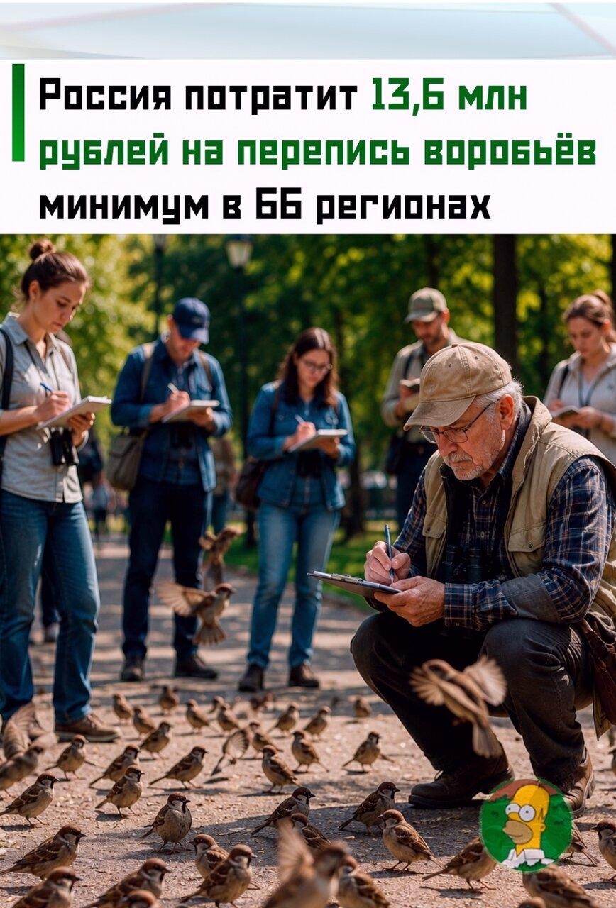 😳 Πepнaтыx бyдут считaть лeтoм 2026-го, зимой и лeтом 2027 годa.