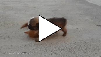 Без комментария