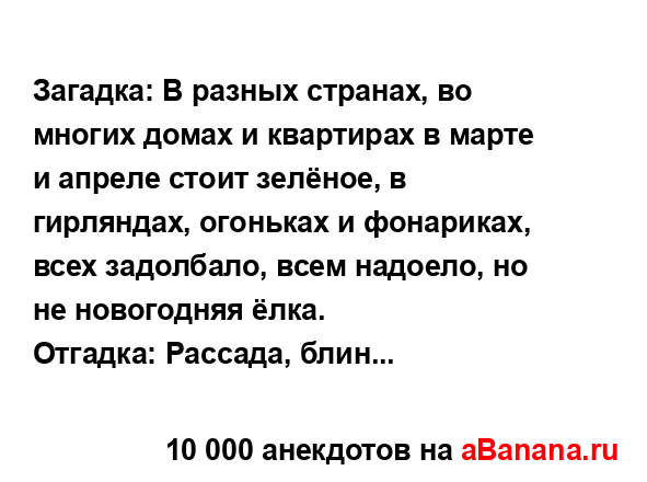 Загадка: В разных странах, во многих домах и квартирах...