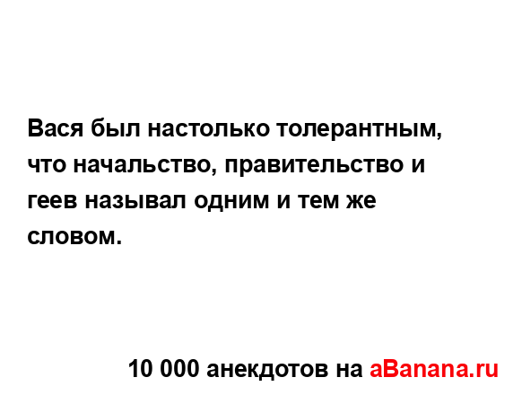 Вася был настолько толерантным, что начальство,...