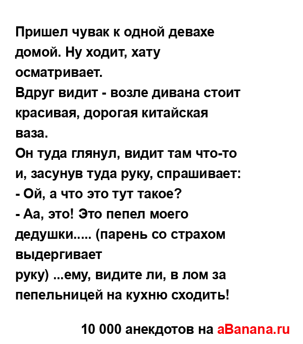 Пришел чувак к одной девахе домой. Ну ходит, хату...