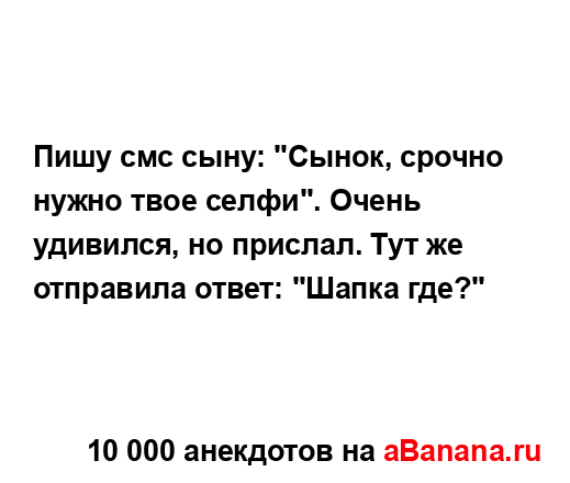 Пишу смс сыну: "Сынок, срочно нужно твое селфи". Очень...