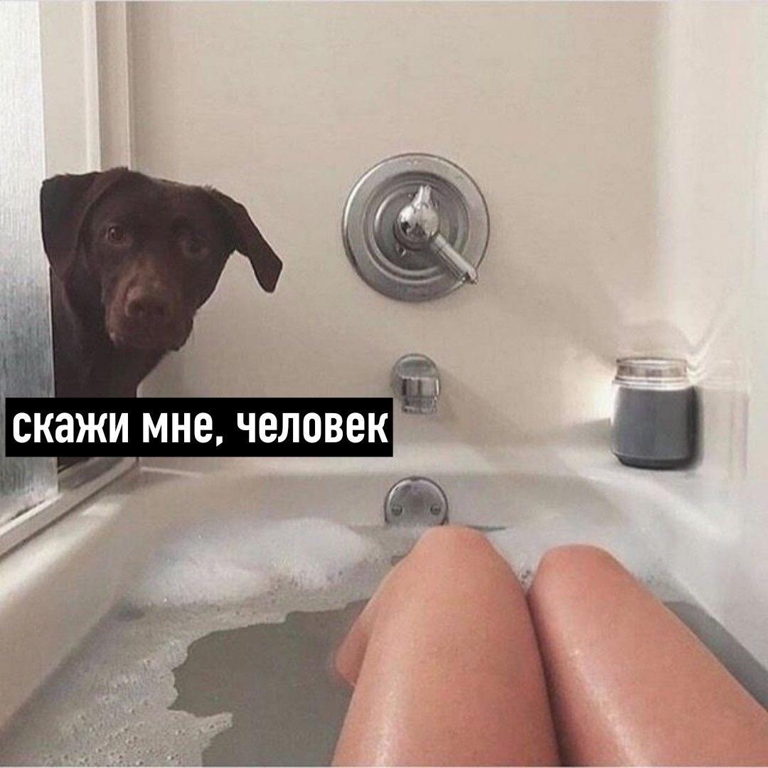 Получается, что это так