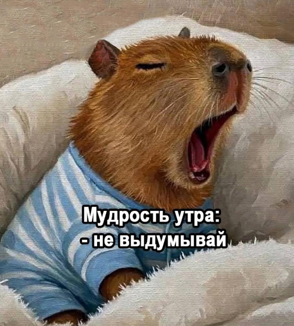 Нужно следовать этим правилам, и всё будет в порядке