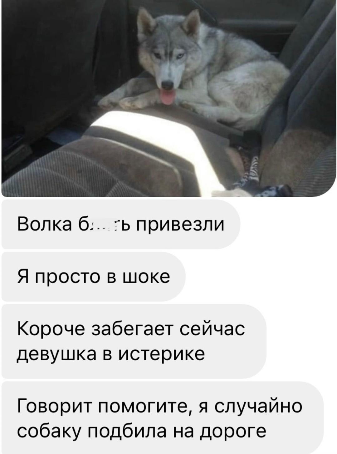 ну главное что она хотела ему помочь