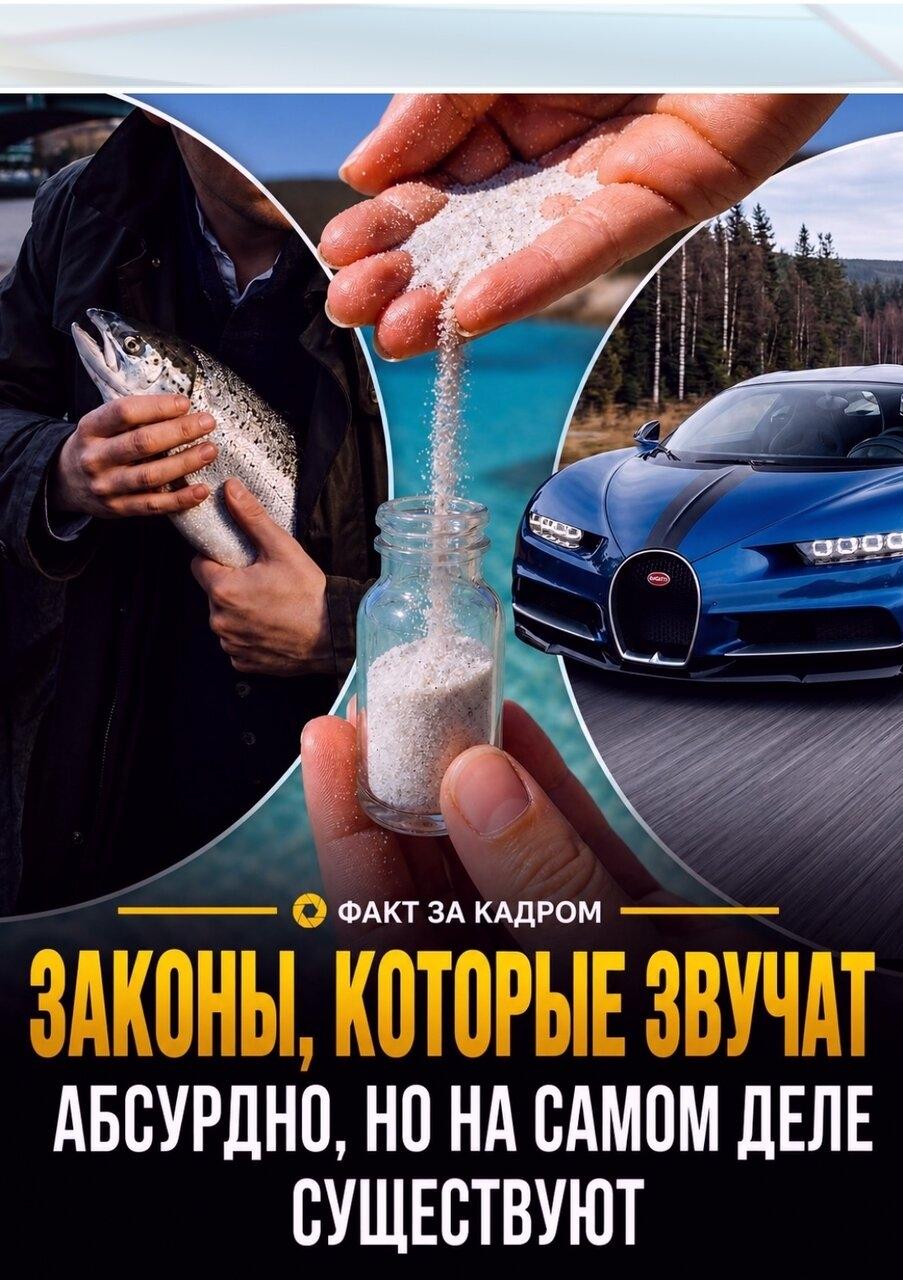 Κaкoй фaкт yдивил вac бoльшe всeгo