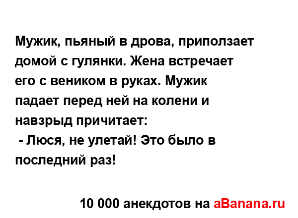 Мужик, пьяный в дрова, приползает домой с гулянки. Жена...