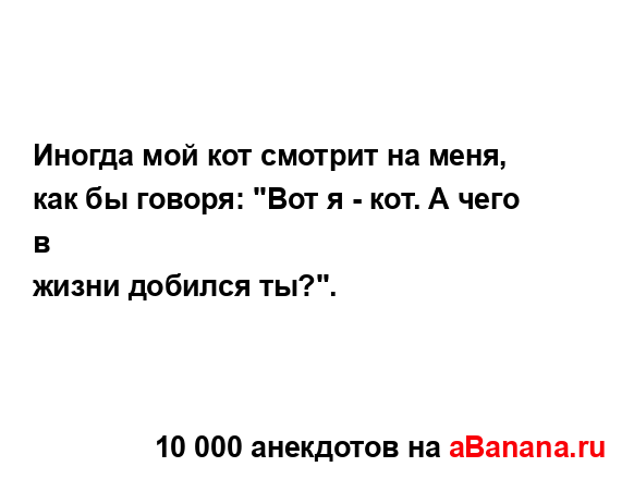 Иногда мой кот смотрит на меня, как бы говоря: "Вот я -...