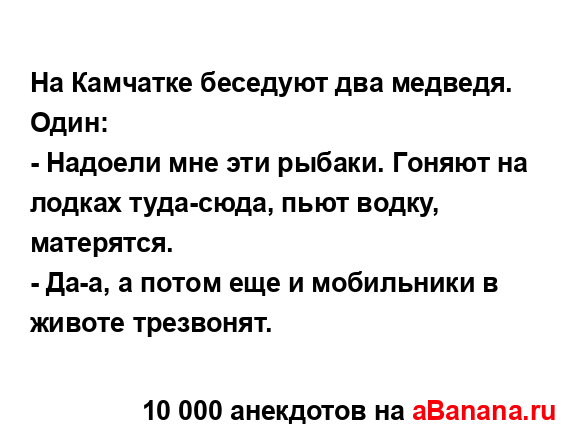 На Камчатке бeceдуют двa медведя....