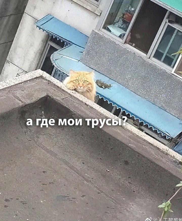 Каждый парень в отношениях