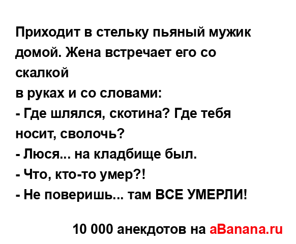 Приходит в стельку пьяный мужик домой. Жена встречает...