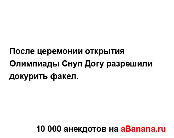 После церемонии открытия Олимпиады Снуп Догу...