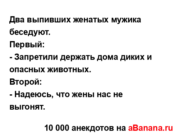 Два выпивших женатых мужика беседуют. ...