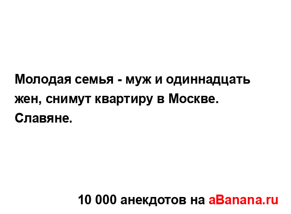Молодая семья - муж и одиннадцать жен, снимут квартиру...