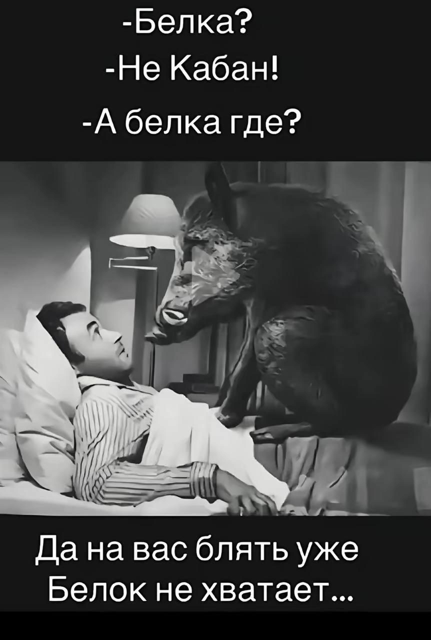 Без комментария