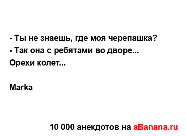 - Ты не знаешь, где моя черепашка?
...