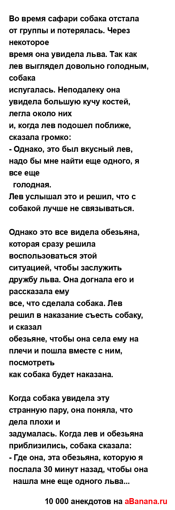 Во время сафари собака отстала от группы и потерялась....