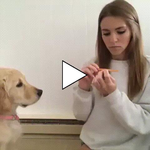 Без комментария