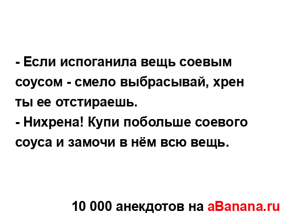 - Если испоганила вещь соевым соусом - смело...