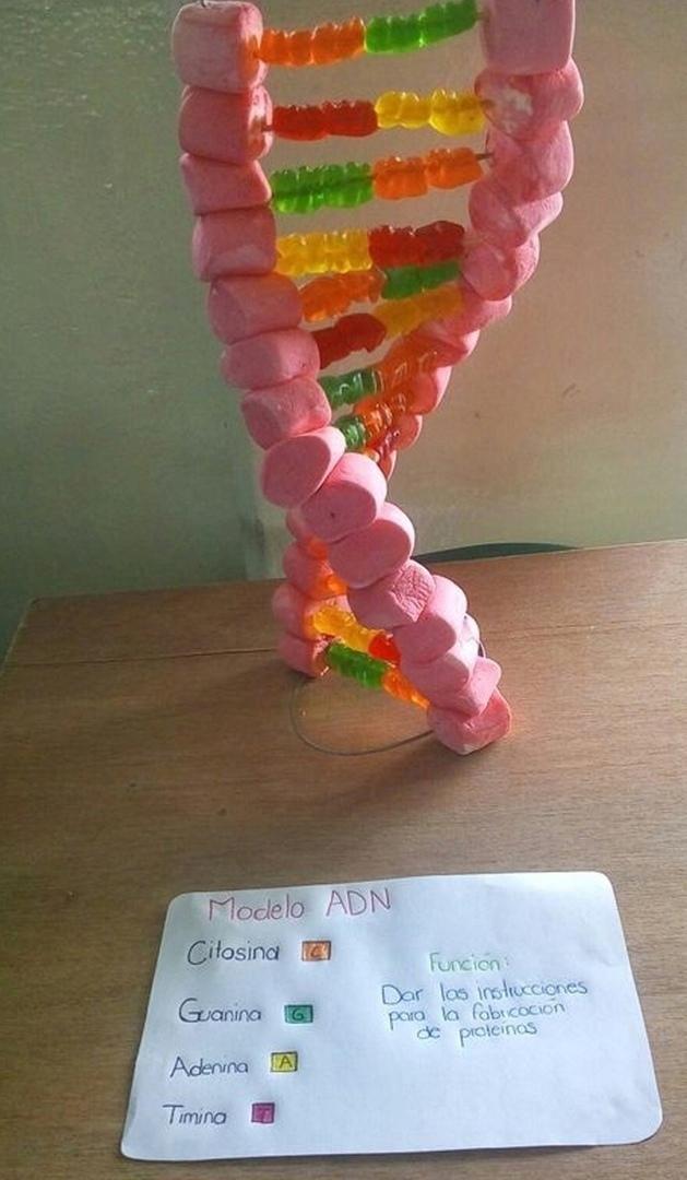 Если в школе так показывали бы, я думаю все дети были бы рады