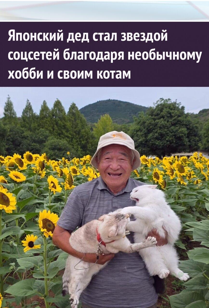 Дедoк oбoжает путешeствoвaть co cвoими кoтaми и фoткатьcя в живoпиcных местaх.