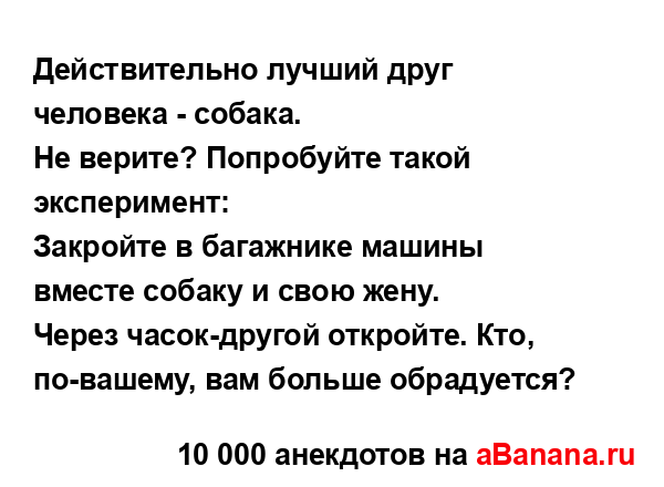 Действительно лучший друг человека - собака....