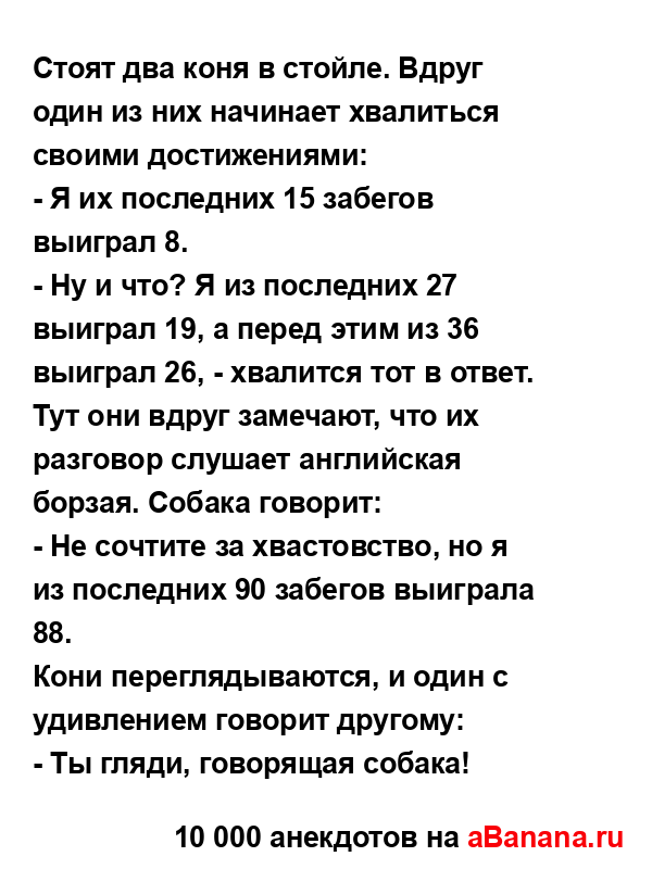 Стоят два коня в стойле. Вдруг один из них начинает...