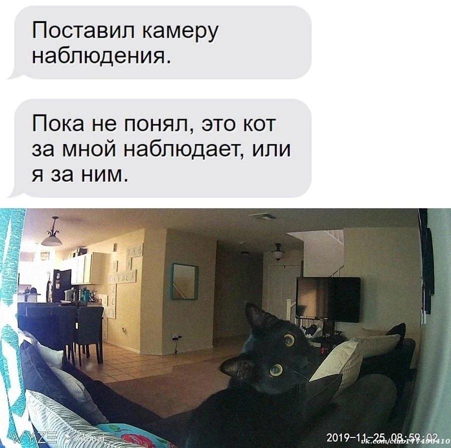 Без комментария