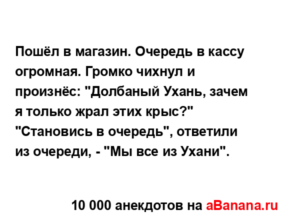 Пошёл в магазин. Очередь в кассу огромная. Громко...