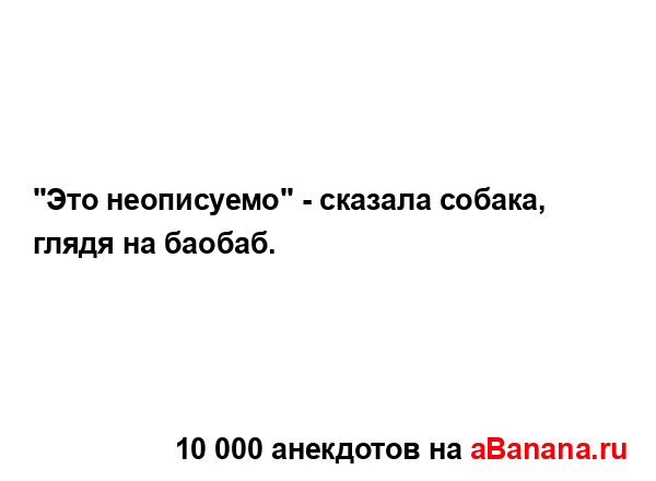 "Это неописуемо" - сказала собака, глядя на баобаб....