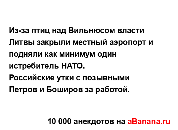Из-за птиц над Вильнюсом власти Литвы закрыли местный...