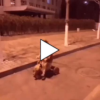 Без комментария