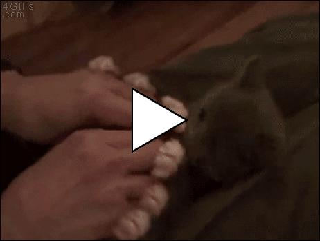 Без комментария