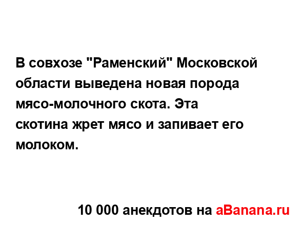 В совхозе "Раменский" Московской области выведена...