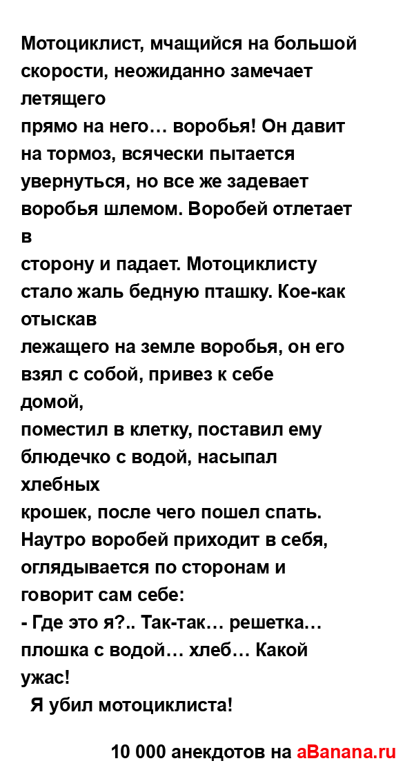 Мотоциклист, мчащийся на большой скорости, неожиданно...