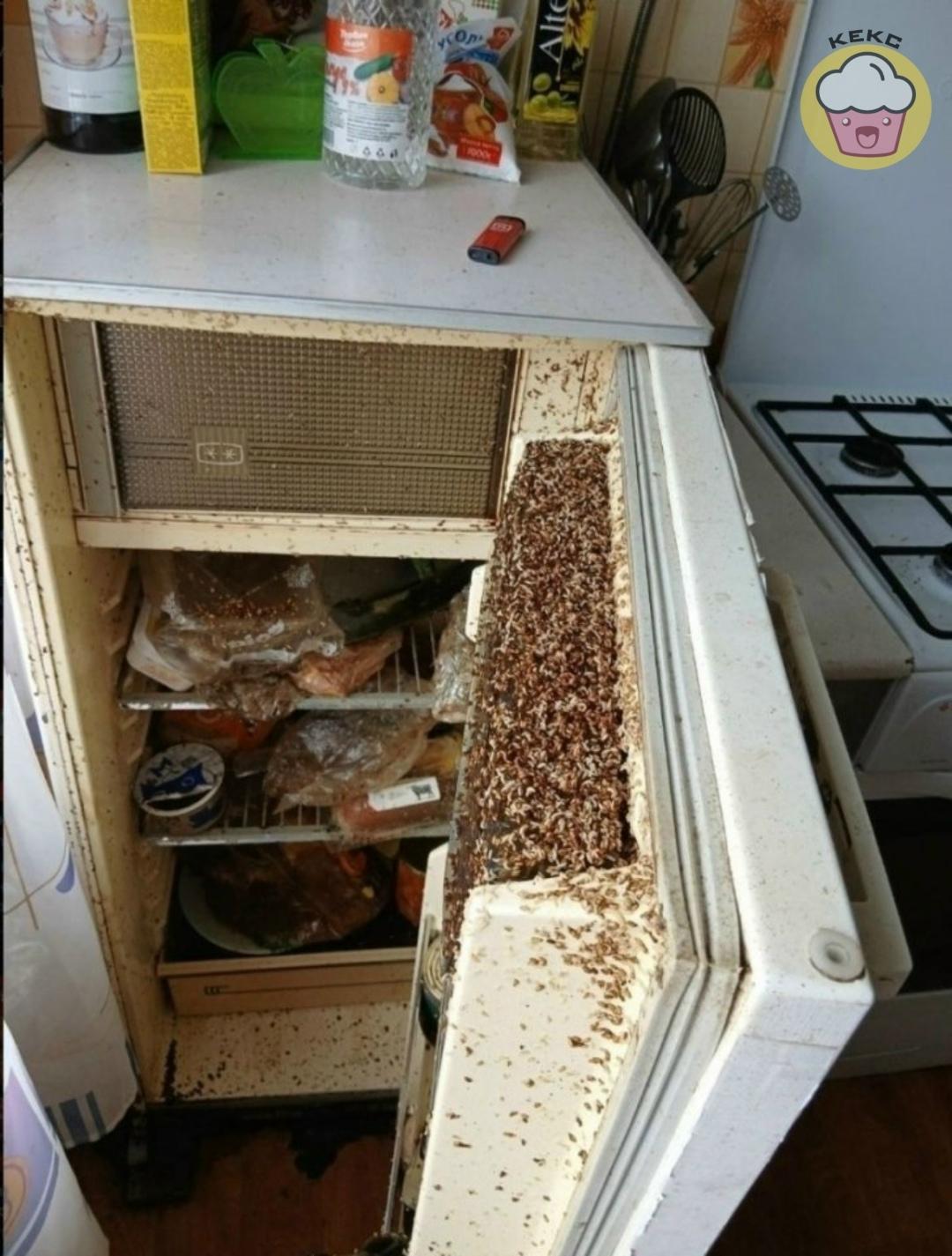 28-летняя арендаторка Кристина превратила съемное жильё в настоящий хаос