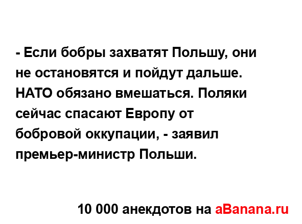 - Если бобры захватят Польшу, они не остановятся и...