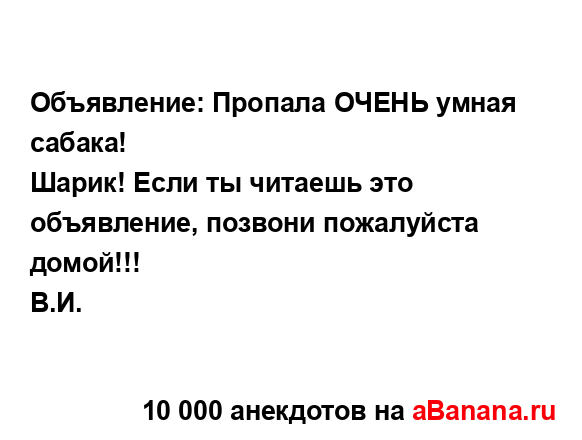 Объявление: Пропала ОЧЕНЬ умная сабака!
...