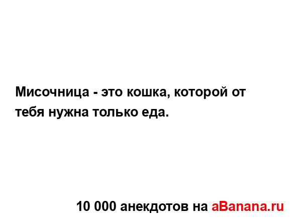 Мисочница - это кошка, которой от тебя нужна только еда....